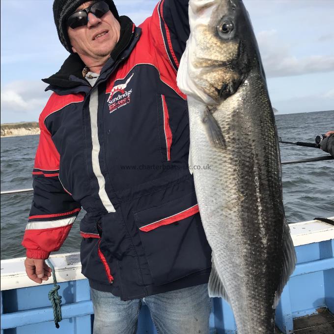 12 lb Bass by Mark from skegness with a very good big sea bass