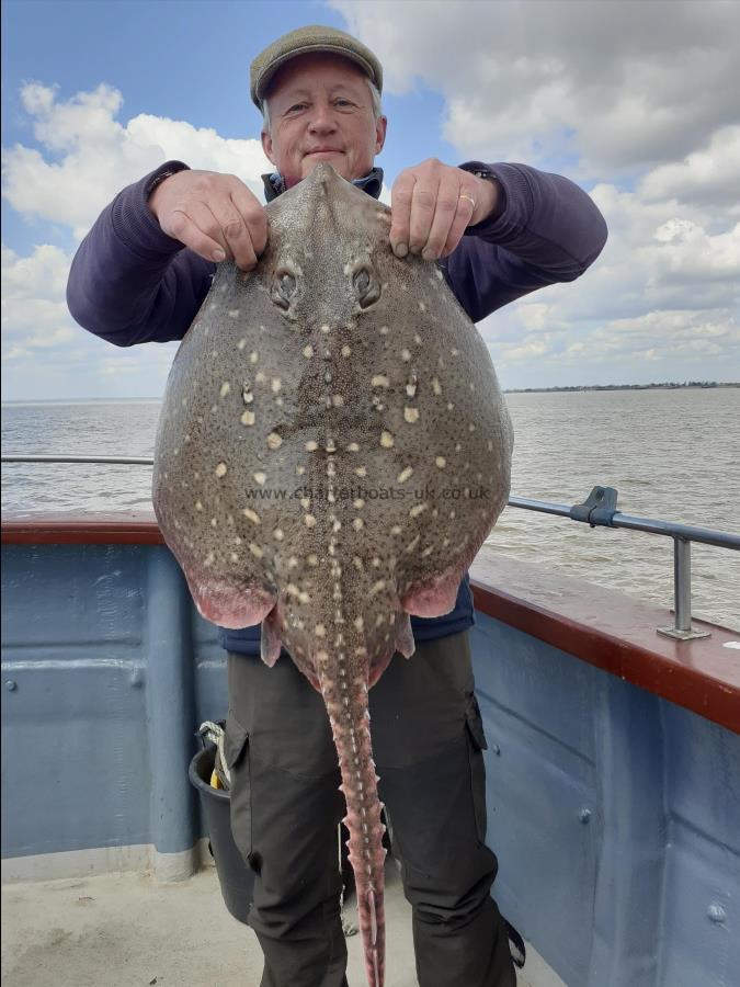 13 lb Thornback Ray by Toby studder