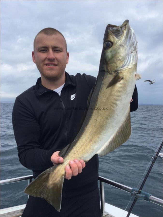 11 lb Pollock by Tommy kerswill