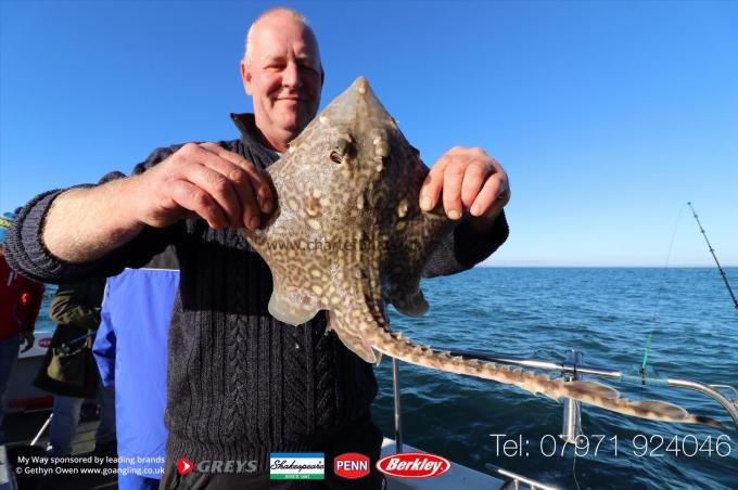 4 lb Thornback Ray by Keith