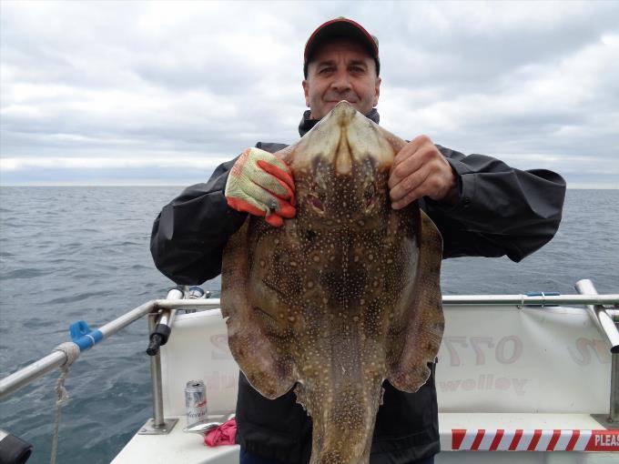 12 lb Undulate Ray by Unknown