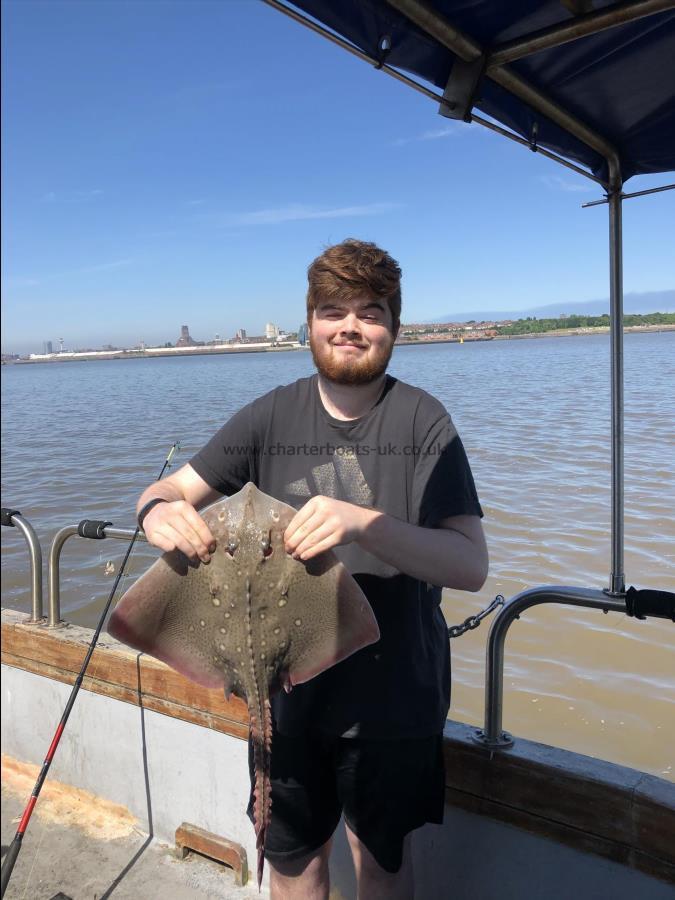 5 lb Thornback Ray by Unknown