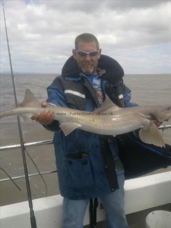 14 lb 8 oz Smooth-hound (Common) by darren roley