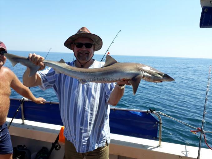 14 lb Tope by Ken Holloway