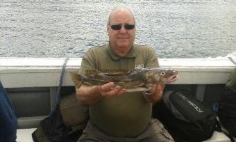 3 lb 3 oz Cod by Unknown