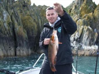 2 lb 1 oz Ballan Wrasse by Unknown