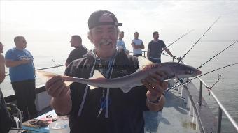 3 lb Starry Smooth-hound by allan from Oxford,