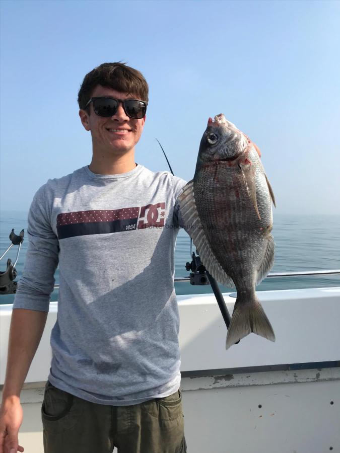 2 lb 6 oz Black Sea Bream by Unknown