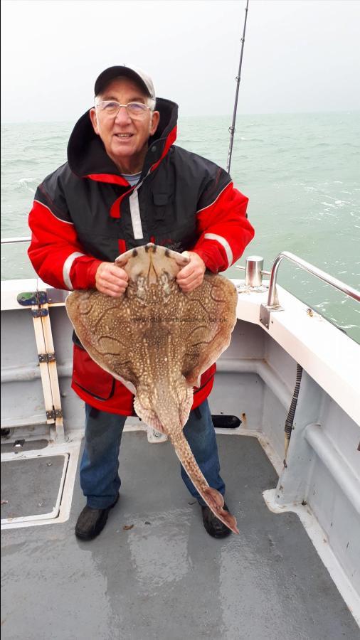 16 lb 4 oz Undulate Ray by Unknown