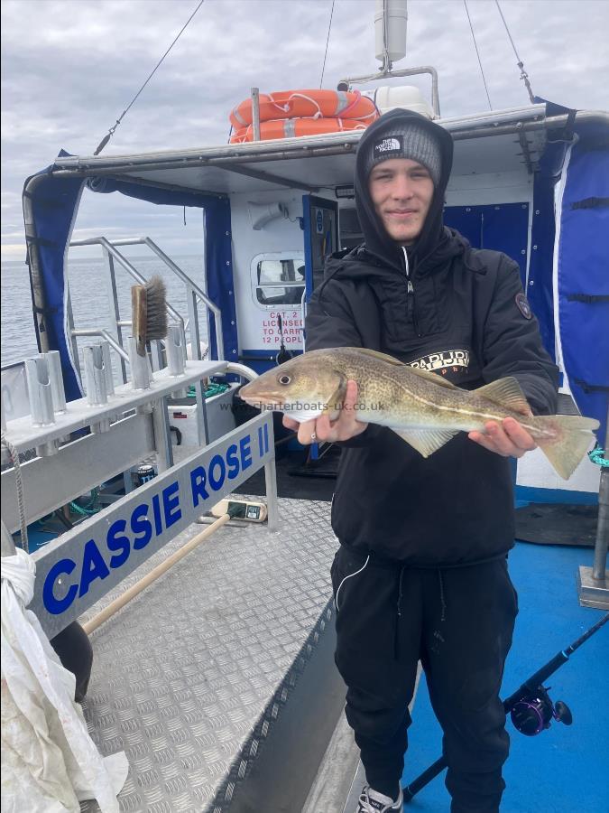 2 lb Cod by Unknown