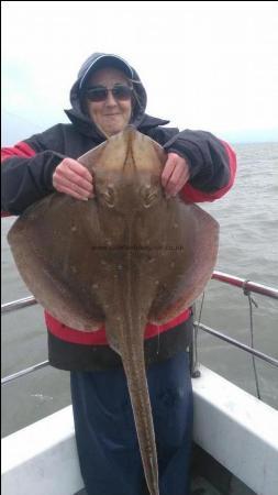 15 lb Blonde Ray by Sarah