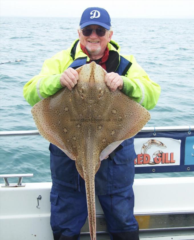 15 lb Blonde Ray by John Dransfield