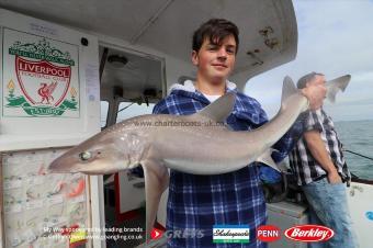 16 lb Starry Smooth-hound by Geth