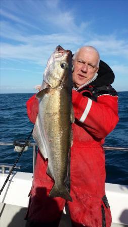 15 lb 8 oz Pollock by adrian coliver