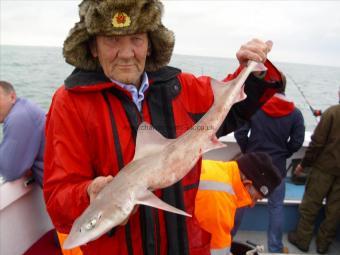 8 lb Smooth-hound by George the landlord
