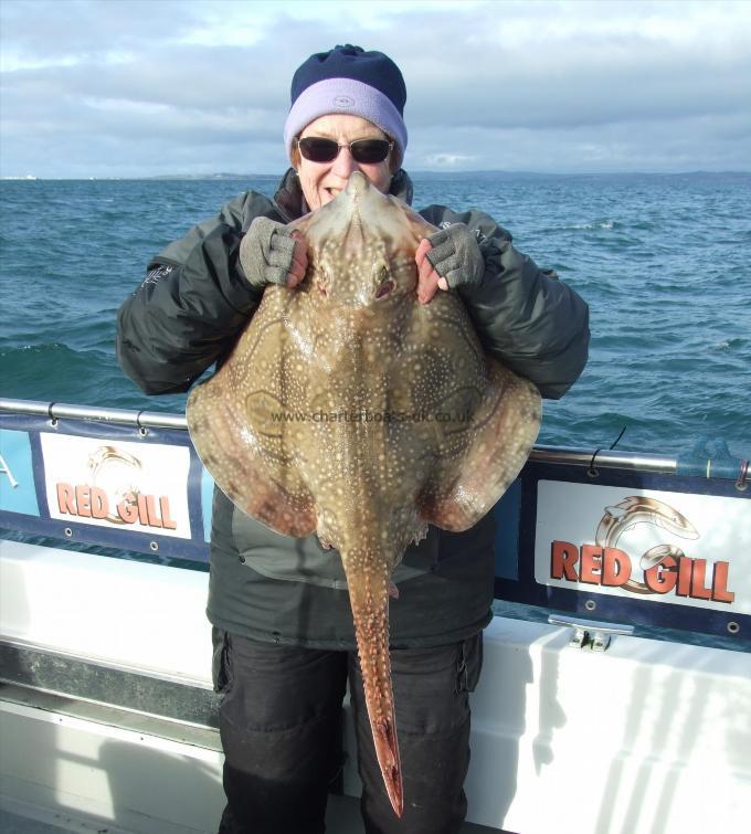 16 lb 8 oz Undulate Ray by Denise Yongs