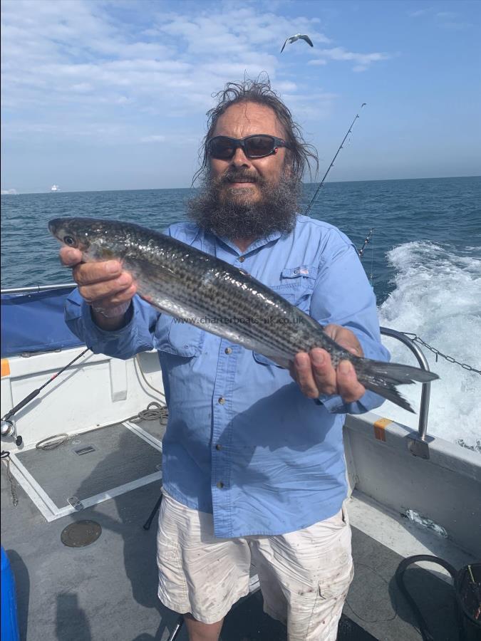 2 lb 8 oz Golden Grey Mullet by Mick Hoyle