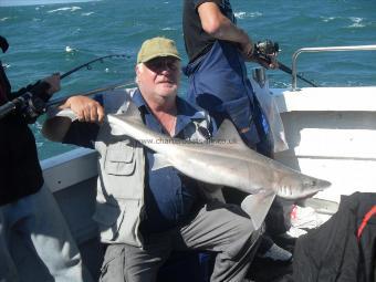 16 lb Starry Smooth-hound by Unknown