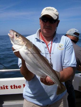 2 lb 10 oz Whiting by Danno