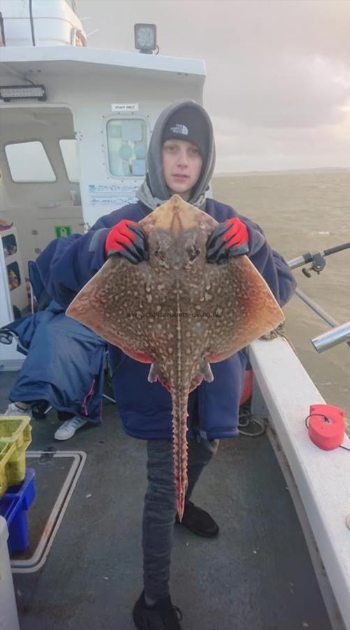 8 lb Thornback Ray by Leon