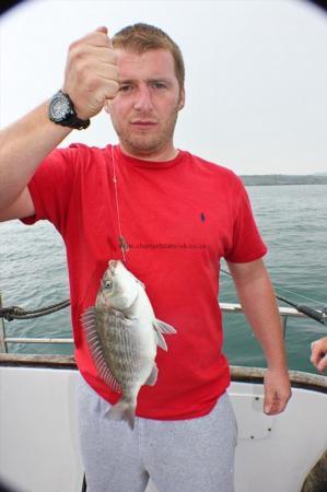 1 lb 8 oz Black Sea Bream by Ben