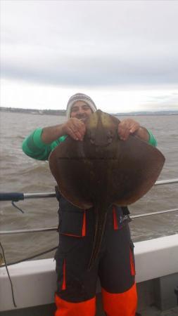 14 lb Blonde Ray by paul pace