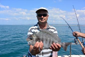 3 lb Black Sea Bream by Stephen Wake