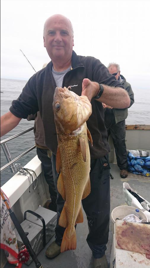 7 lb 1 oz Cod by Unknown