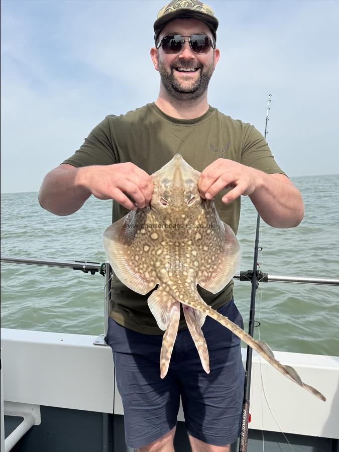 5 lb Thornback Ray by Piaras