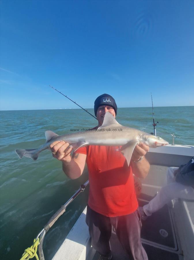 5 lb 5 oz Smooth-hound (Common) by Wayne