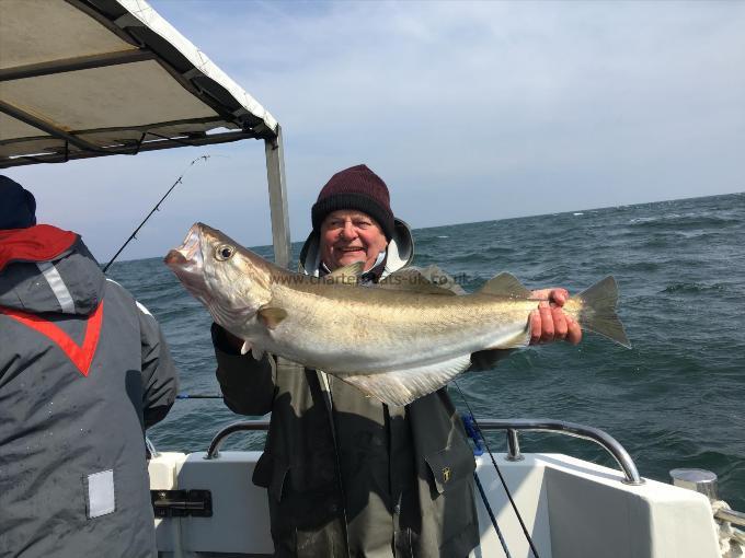 14 lb 5 oz Pollock by Ray