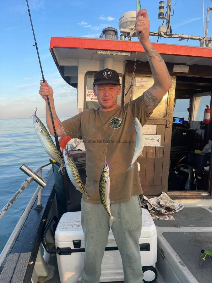 1 lb Mackerel by Unknown
