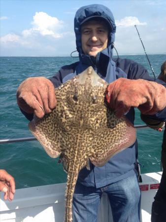 4 lb Thornback Ray by Unknown