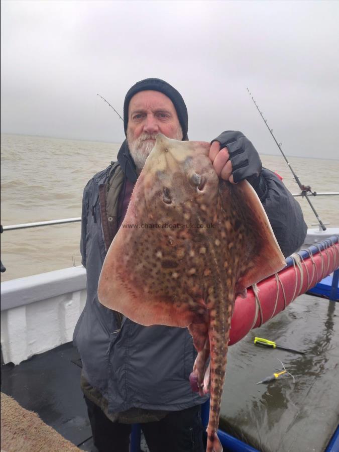 6 lb Thornback Ray by Rob