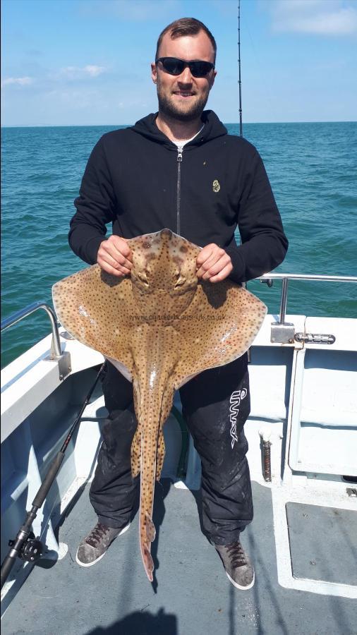 15 lb 8 oz Blonde Ray by Paul Gibbs