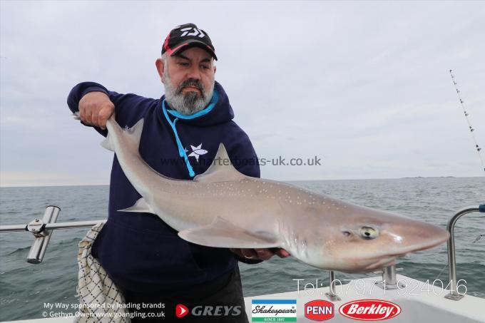 16 lb Starry Smooth-hound by Martin