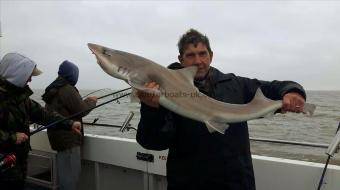 15 lb Smooth-hound (Common) by Garry Finnimore