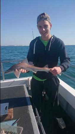 3 lb 8 oz Starry Smooth-hound by Bob Marshall