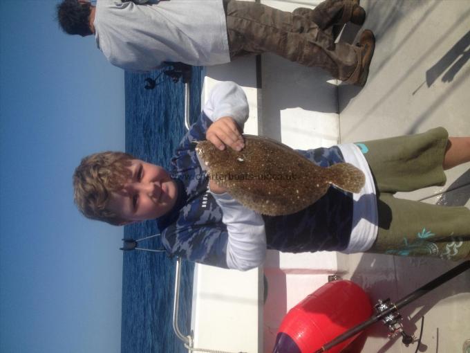 3 lb Brill by Matthew Petts