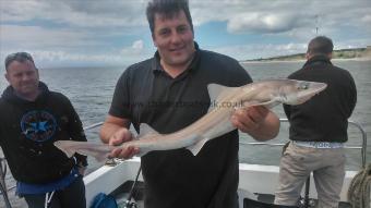 7 lb Starry Smooth-hound by buzz