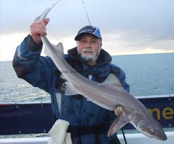 11 lb Starry Smooth-hound by Ian Youngs