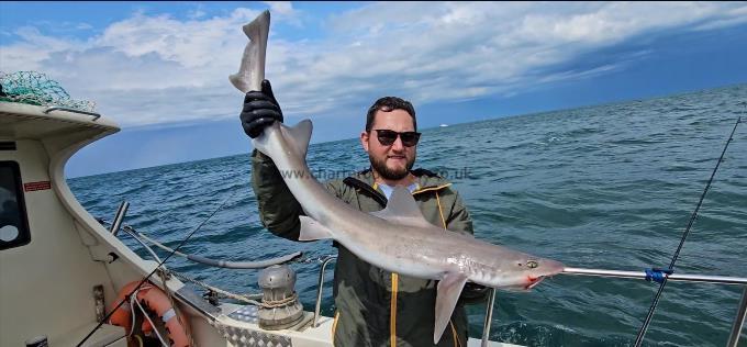10 lb Smooth-hound by Tom