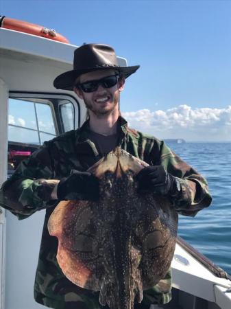 10 lb Undulate Ray by Unknown