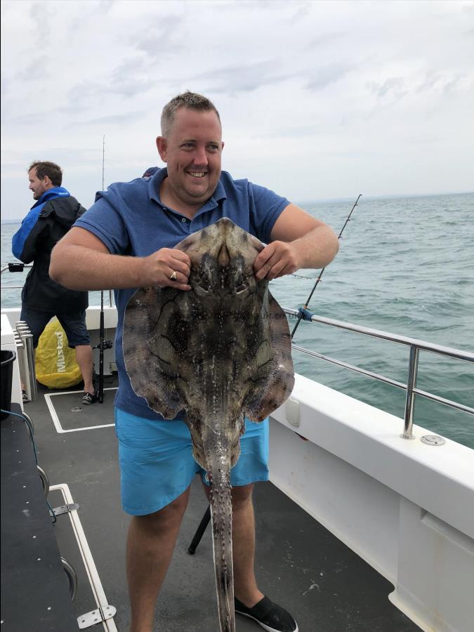 14 lb 8 oz Undulate Ray by Stuart