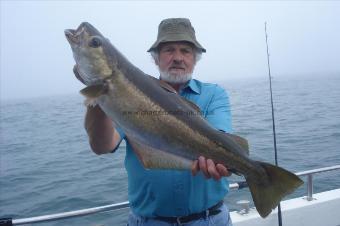 14 lb 6 oz Pollock by Ray