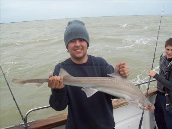 9 lb 3 oz Starry Smooth-hound by joe smith