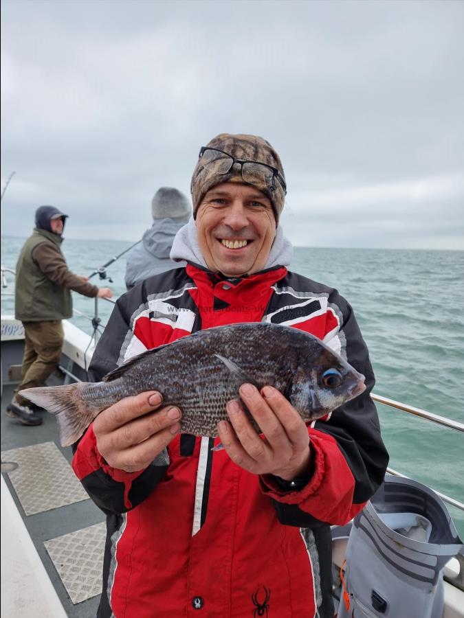 2 lb 4 oz Black Sea Bream by Unknown