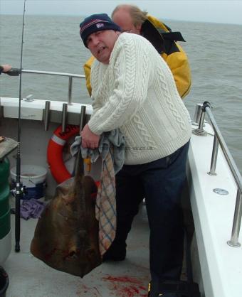 23 lb Stingray (Common) by Tom (Gillingham)