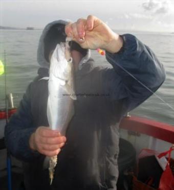 1 lb 8 oz Whiting by James Duke