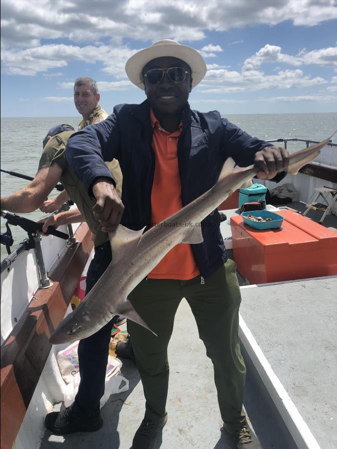 9 lb 8 oz Smooth-hound by Unknown